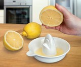 Shark Lemon Juicer