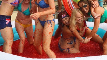 Bulk Wrestling Jello