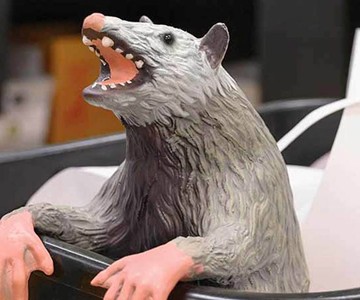 Office Possum
