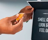 Laundry Sauce - World's Best Smelling Laundry Detergent