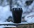Metamorphic Rock Naturally Insulating Cup