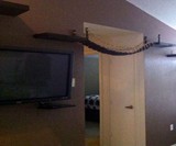 Indiana Jones Cat Bridge
