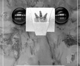 Toilet Paper Origami