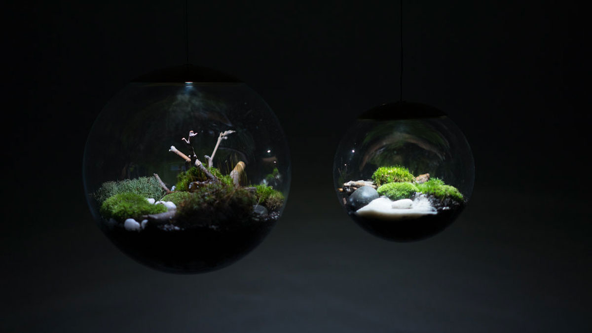 Globe Terrarium Lamps