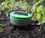 Tertill Garden Weeding Robot