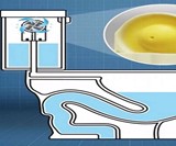 The Odorless Toilet Fan