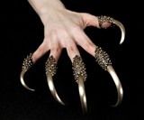 Predator Claw Rings