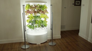 iHarvest Indoor Hydroponic Garden