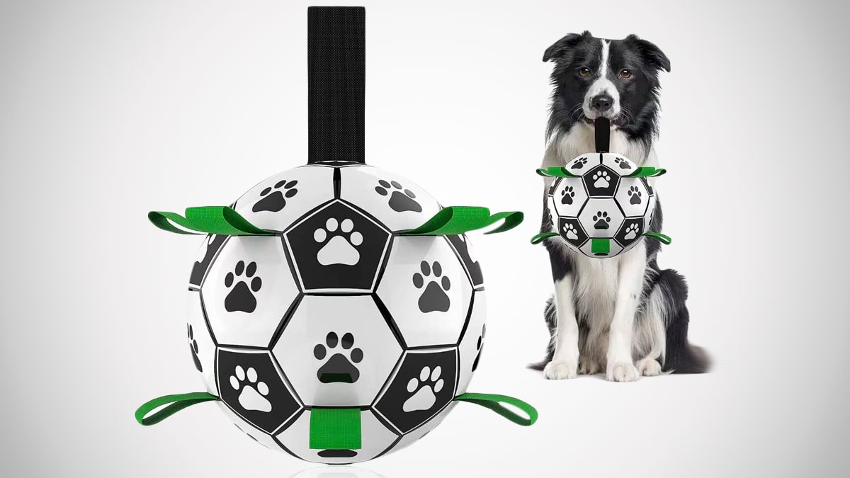 Dog Soccer Ball with Grab Tabs Dog Soccer Ball with Grab Tabs