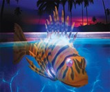 Swimming Pool Fish Bots