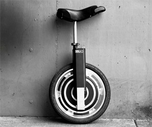 Self-Balancing Unicycle Self-Balancing Unicycle