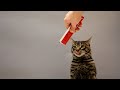 Delectables SqueezeUps - Go-Gurt for Cats