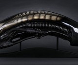 Life-Size Alien Head