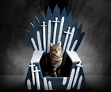 Iron Throne Cat Bed