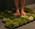 Moss Carpet - Living Bath Mat