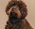 Cuss Collar - A Collar that Curses When Your Dog Barks Cuss Collar - A Collar that Curses When Your Dog Barks