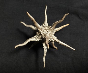 Kraken D20 Die Kraken D20 Die
