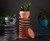 Slinky Planter