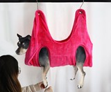 Dog Harness Hammock for Nail Trimming