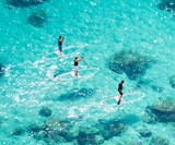LOEVA Le Stand Up - Transparent Stand Up Paddleboard