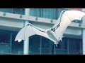 Festo BionicFlyingFox