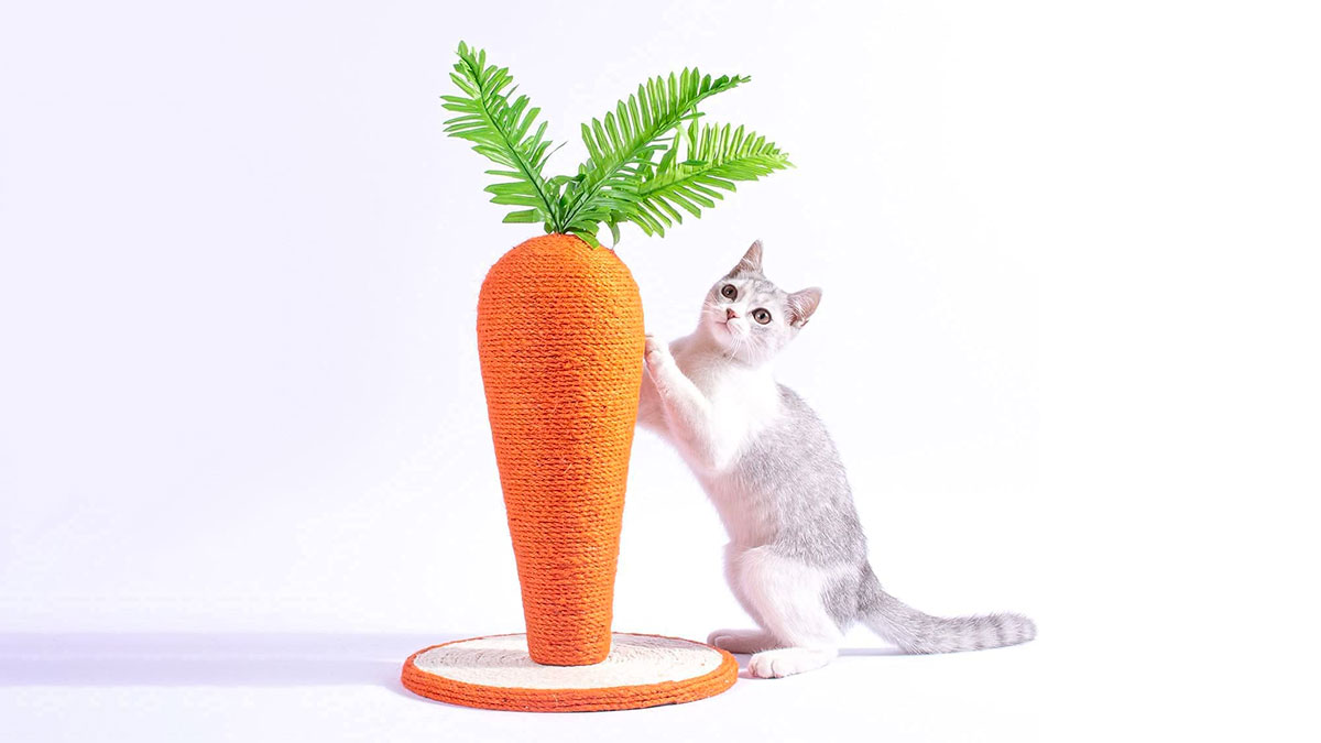 Carrot Cat Scratching Post Carrot Cat Scratching Post