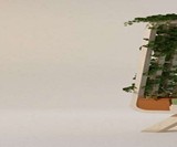 Il Nido Nest for Humans