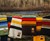 Pendleton National Park Blankets