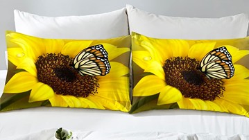Butterfly Bedding Set Butterfly Bedding Set