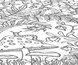 Enchanted Forest: An Inky Quest & Coloring Book