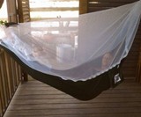 Portable Bug Free Hammock
