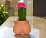 TERRACOCK'n'BALLS Planter