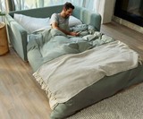 Koala Cushy Sofa Bed