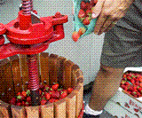 Mesmerizing Animated GIF Portrait-8716