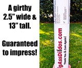 Embarrassing Box Prank Mailer