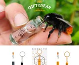BEEVIVE Bee Revival Kit