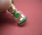 The World In A Bottle