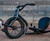 Leaux Racing Trike