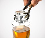 Talon Ice Tongs