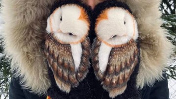 Owl Mittens Owl Mittens