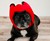 Pawnix Noise-Cancelling Headset for Dogs