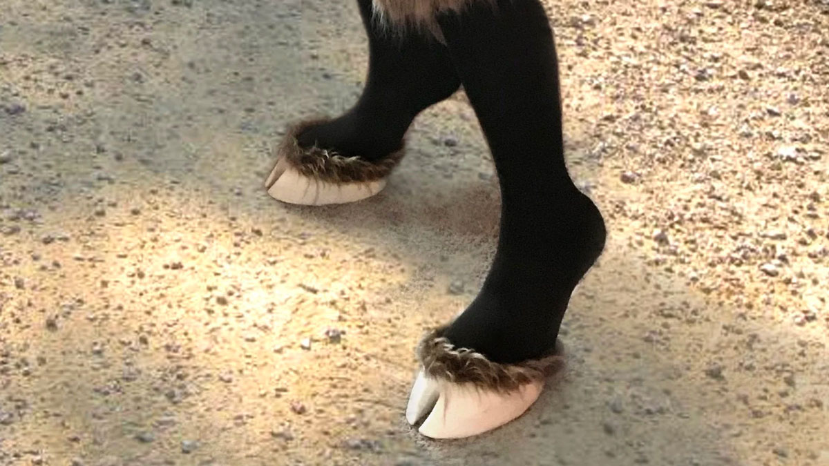 Creature Feet Shoes Creature Feet Shoes