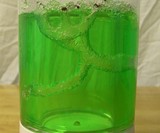 Ant Farm Revolution Live Ants