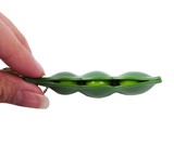 Squeeze-a-Bean Edamame Fidget Toy & Keychain