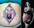 Pregnant Belly Painting Kit Pregnant Belly Painting Kit