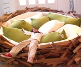 Girl Lying in Bird's Nest Bed