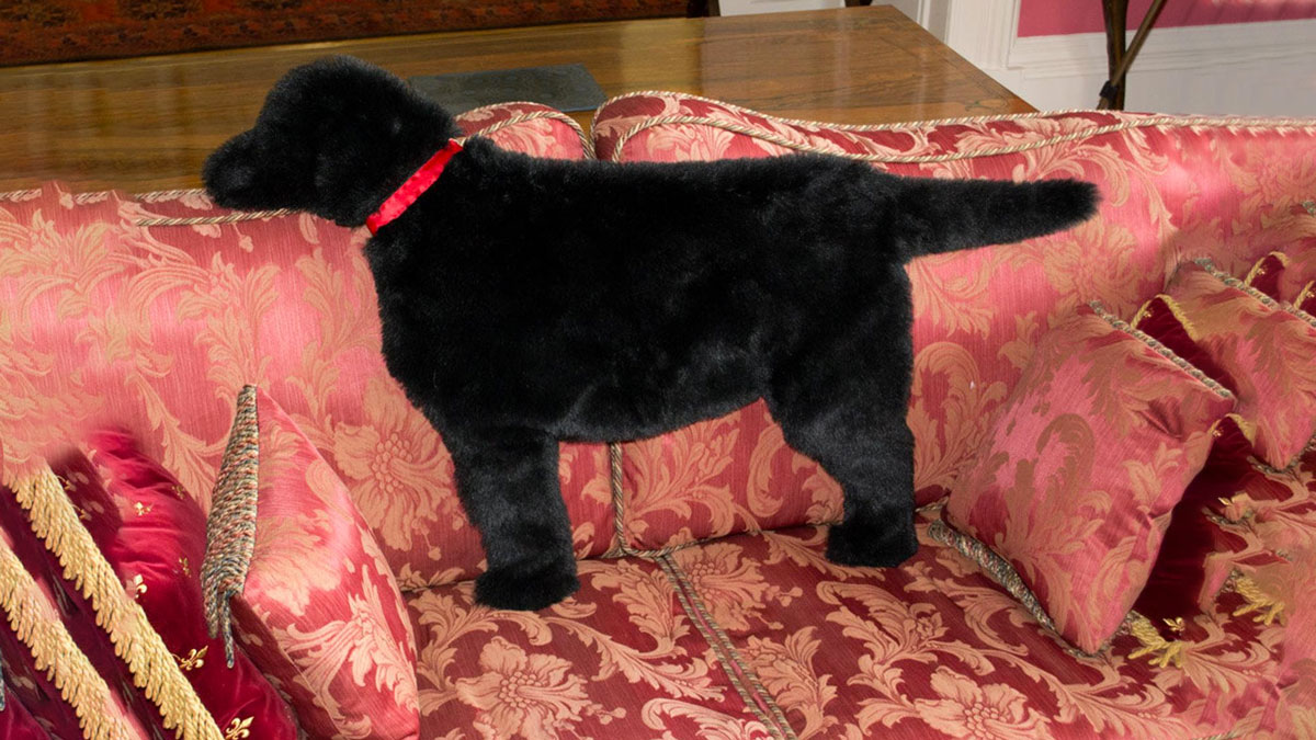 Labrador Rug Labrador Rug