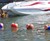 Butt Buoys Butt Buoys