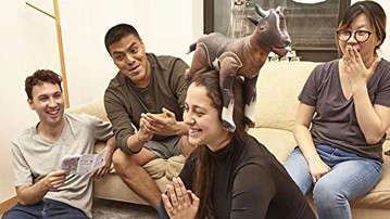 Goat Yoga Party Game Goat Yoga Party Game