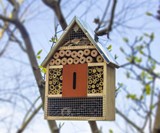 Ladybug, Bee & Butterfly House